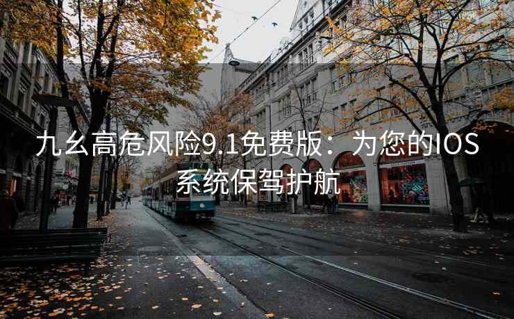 九幺高危风险9.1免费版：为您的IOS系统保驾护航