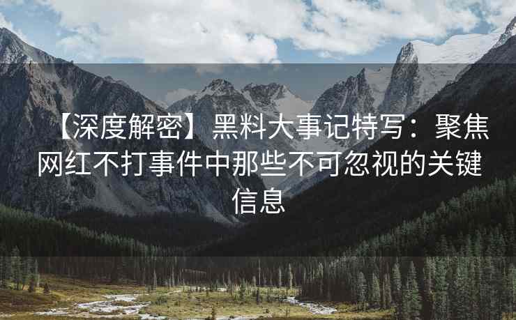 【深度解密】黑料大事记特写：聚焦网红不打事件中那些不可忽视的关键信息
