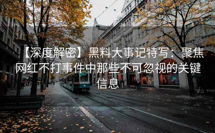 【深度解密】黑料大事记特写：聚焦网红不打事件中那些不可忽视的关键信息