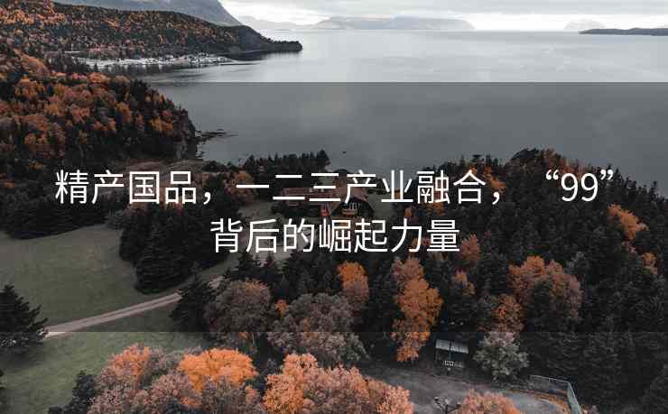 精产国品，一二三产业融合，“99”背后的崛起力量